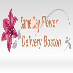 Same Day Flower Delivery Boston MA - Send Flowers