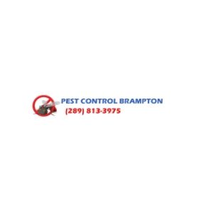 Pest Control Brampton