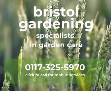 Bristol Gardening