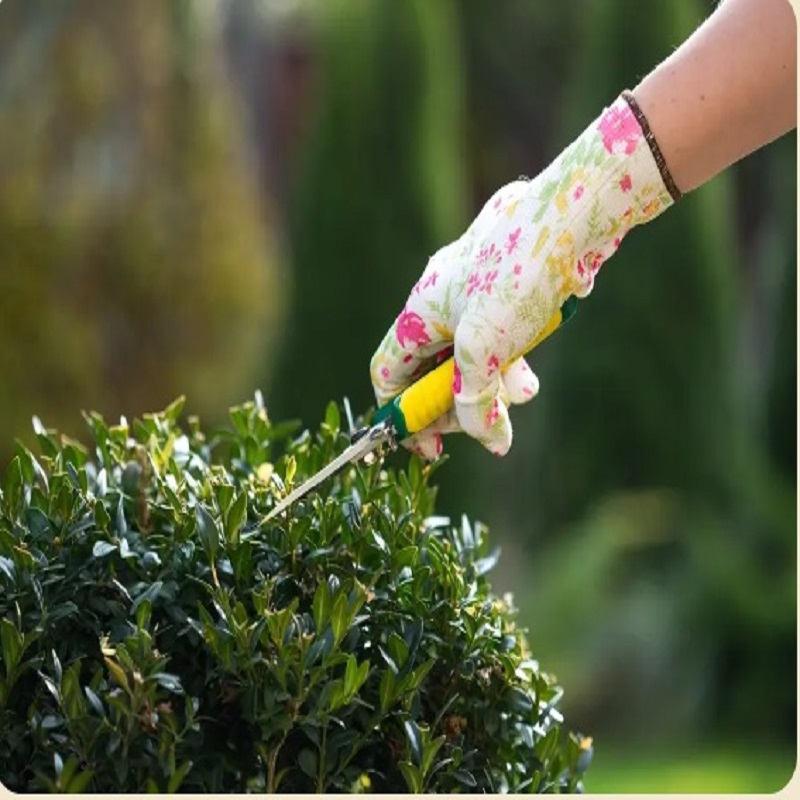 Gardener Gardening