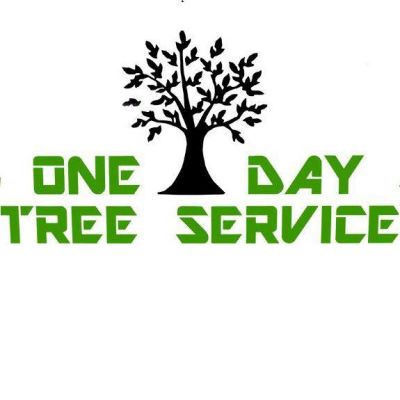 One Day Tree Service