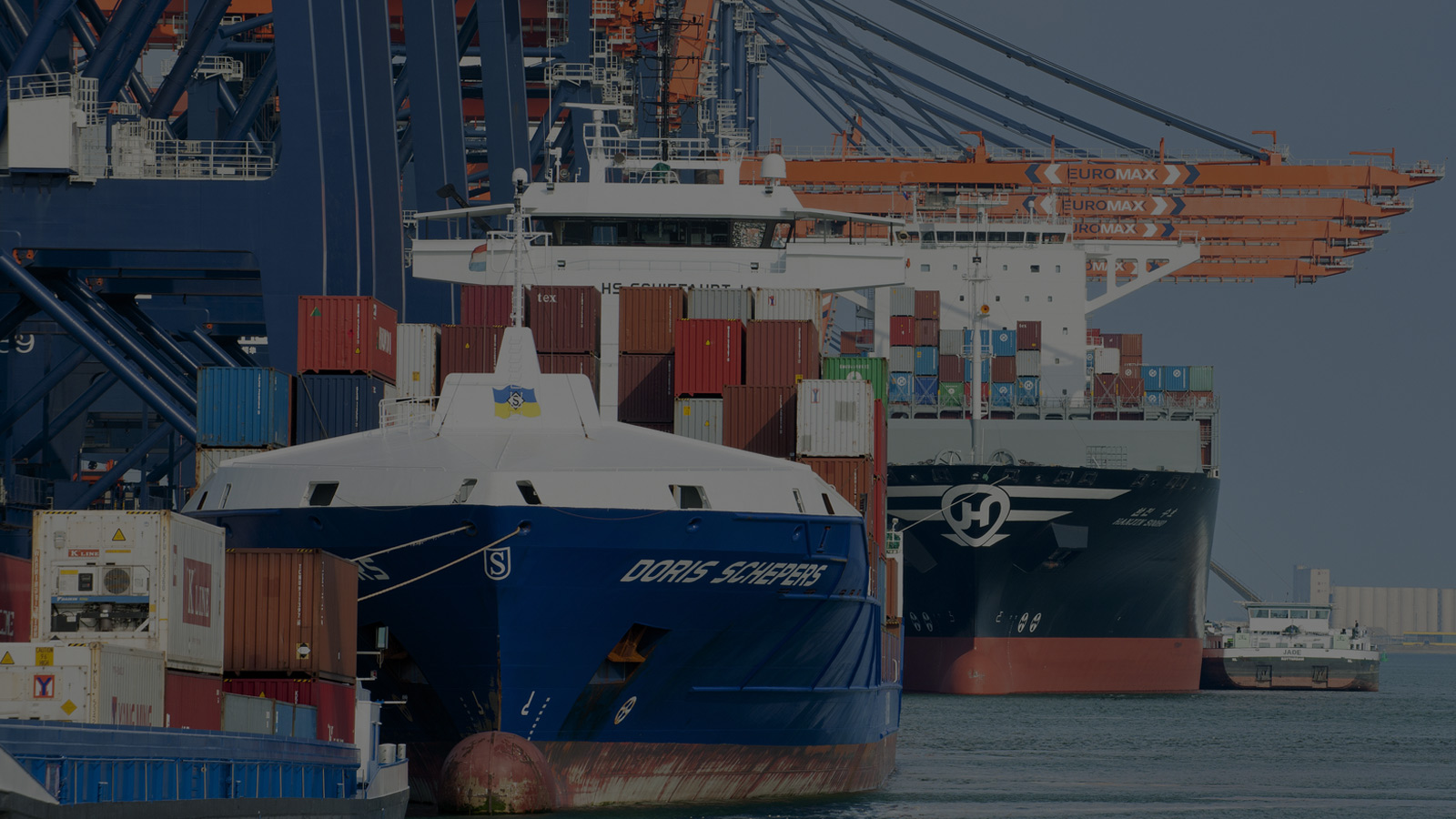 Customs Logistic Services