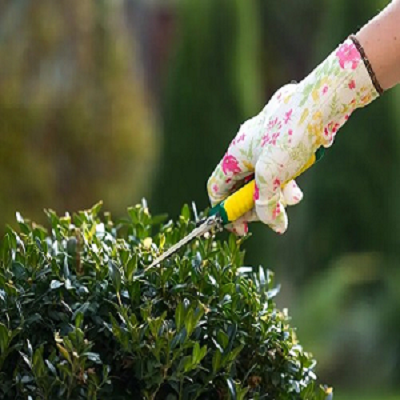 Super Gardener