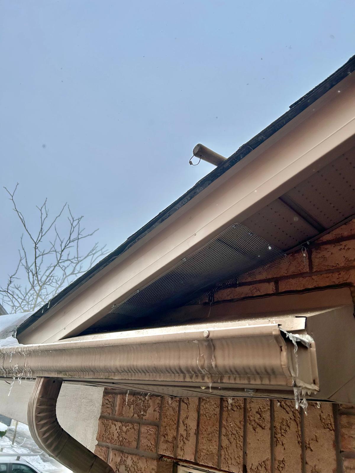 Wildlife Removal Toronto