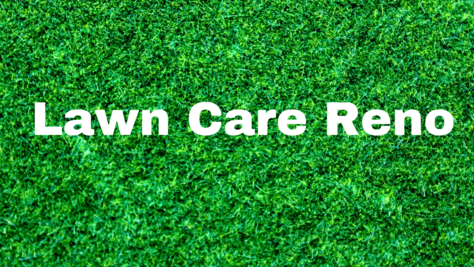 Lawn Care Reno