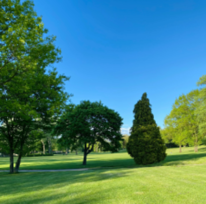 Flora Lawn & Landscaping Inc