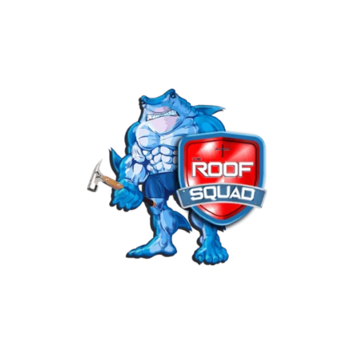 The Roof Squad
