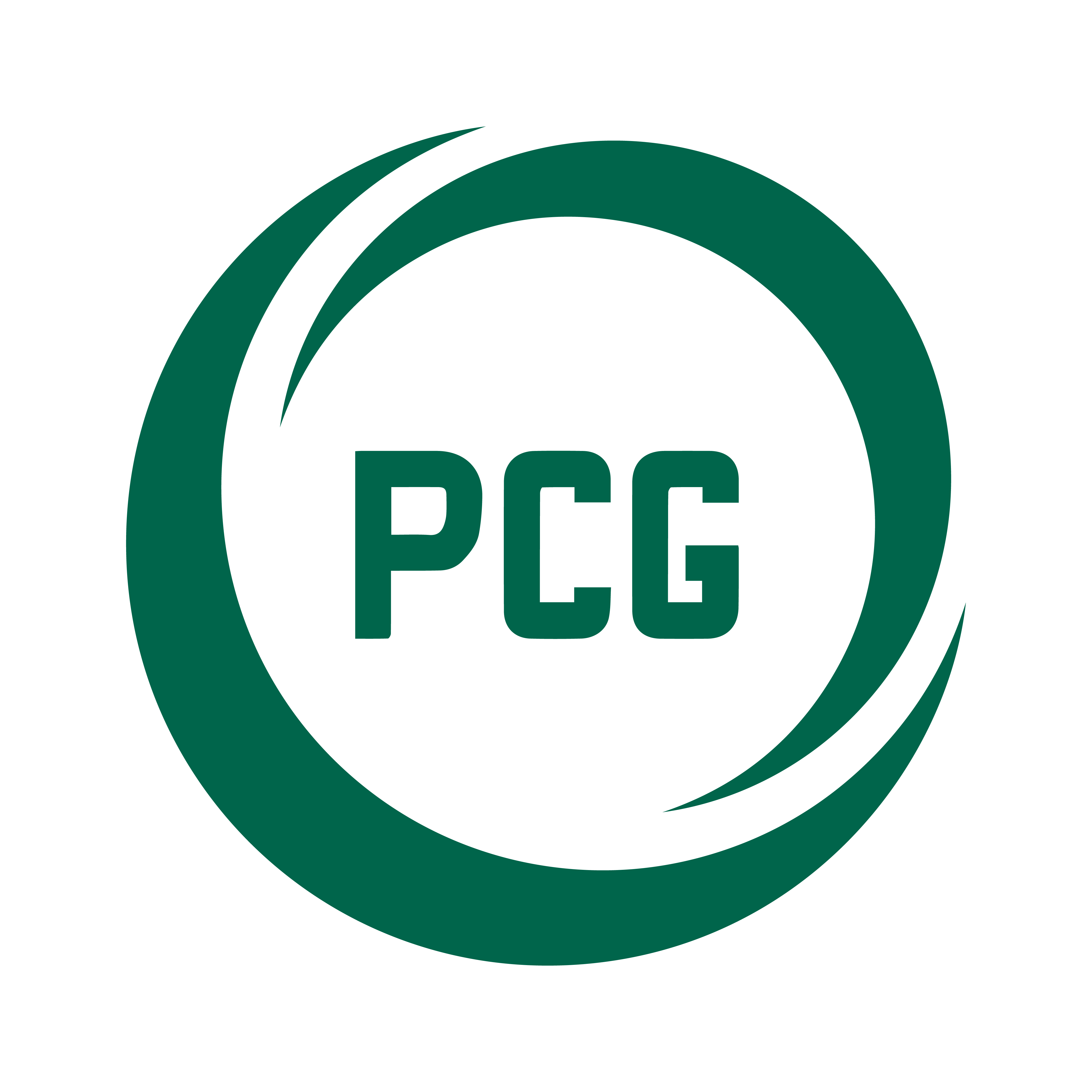Piazza Consulting Group