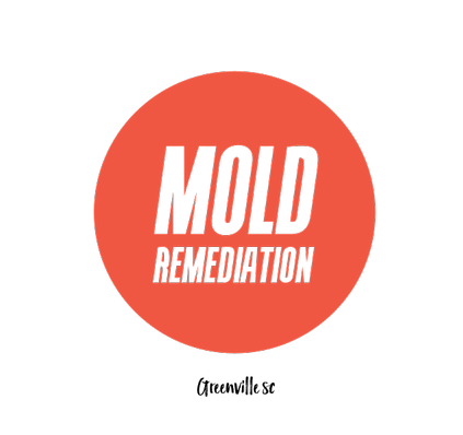 Greenvilel Mold Pros - Mold Remediation Greenville SC