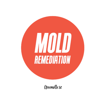  Greenvilel Mold Pros - Mold Remediation Greenville SC 