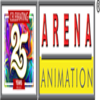Arena Animation