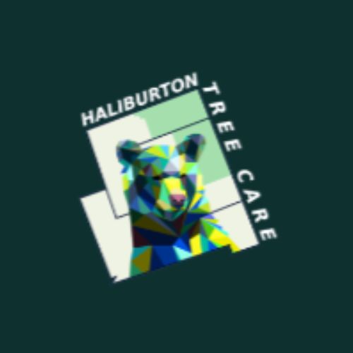 Haliburton Tree Care