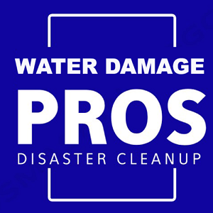 Burien Water Damage Pros
