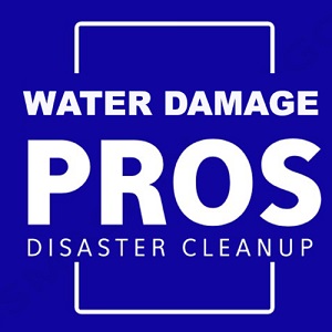 Kirkland Water Damage Pros