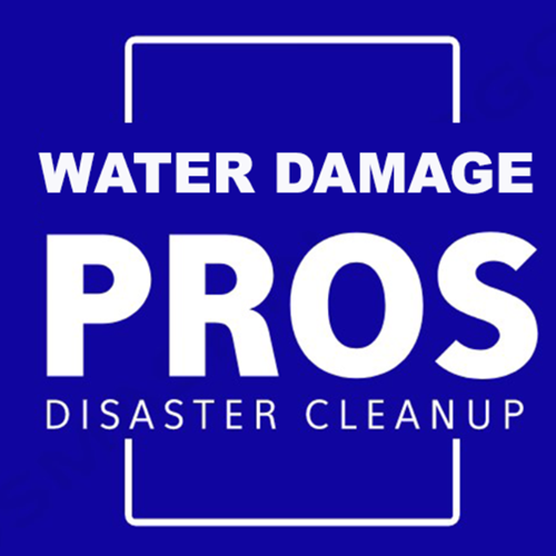 Edmonds Water Damage Pros