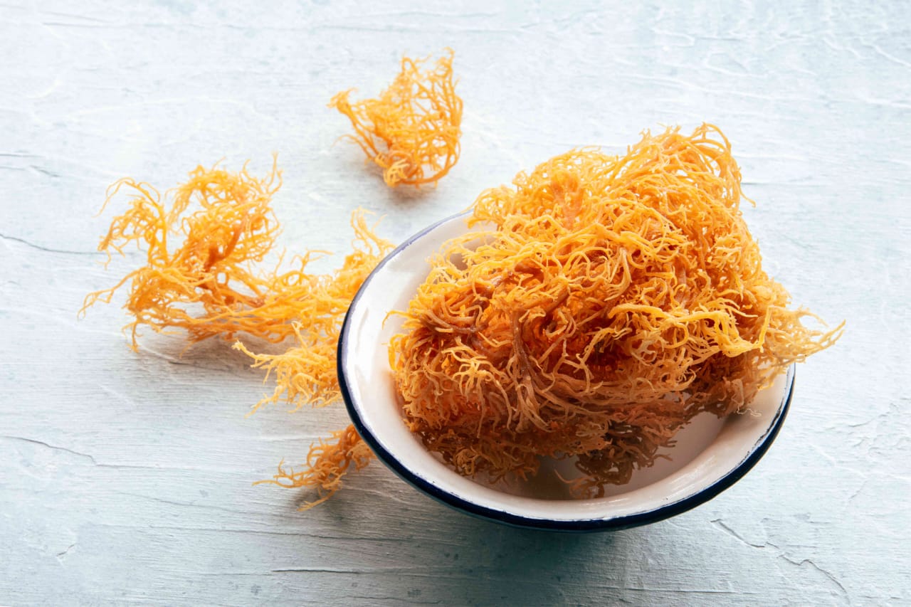 More Moringa AloeVera Sea Moss