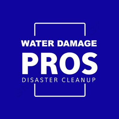 Redmond Water Damage Pros