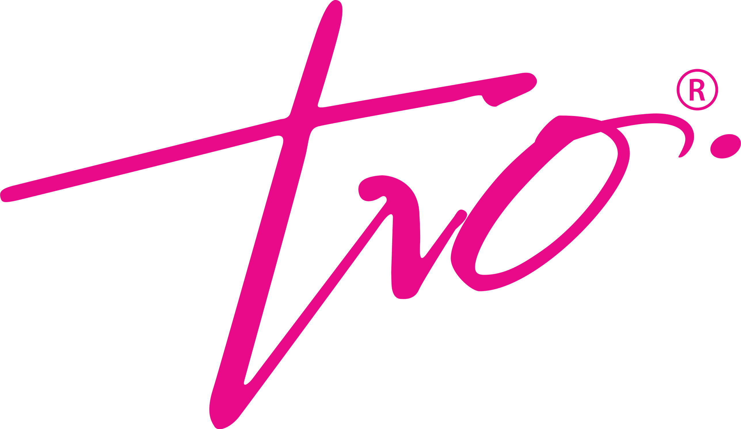 treasure orbit food & beverages llc