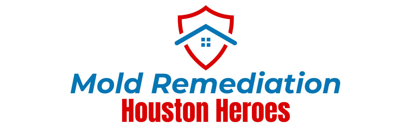 Mold Remediation Houston Heroes