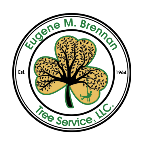 Eugene M Brennan Tree Service LLC