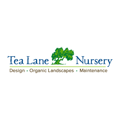 Tea Lane Nursery
