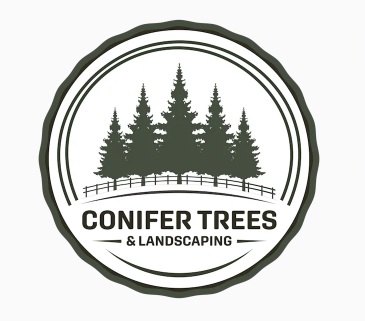 Conifer Trees & Landscaping