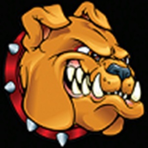 Digital Guard Dawg Inc