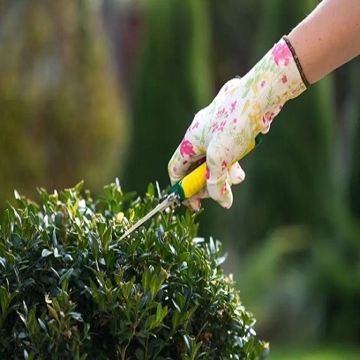 Block paving cleaning