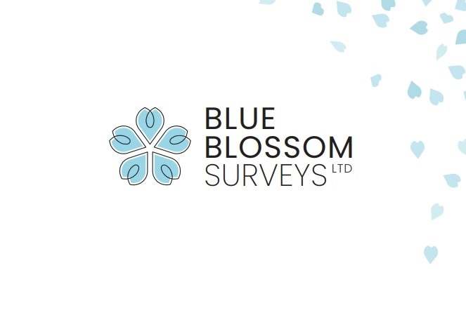 Blue Blossom Surveys Ltd