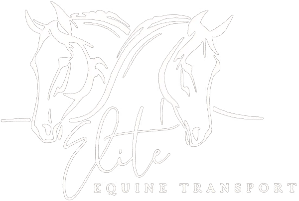 Elite Equine Transport