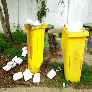 Commercial Waste Removal Tufnell Park