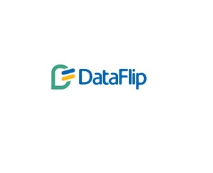 DataFlip