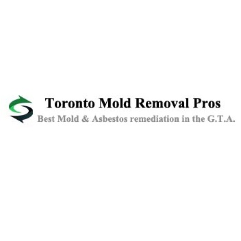 Toronto Mold Asbestos Removal Pros