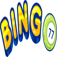 Bingo USA