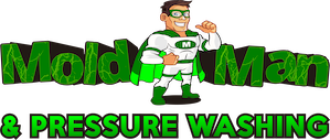  The Mold Man & Pressure Washing