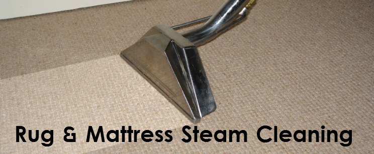 Professional Carpet Steam Cleaning