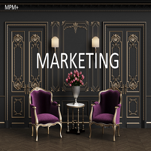 More Profitable Marketing (MPM+)