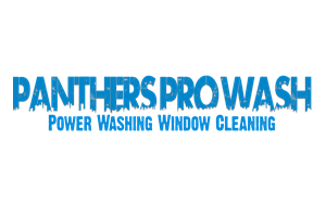 Panthers Pro Wash