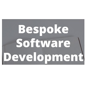 Bespoke Software Development
