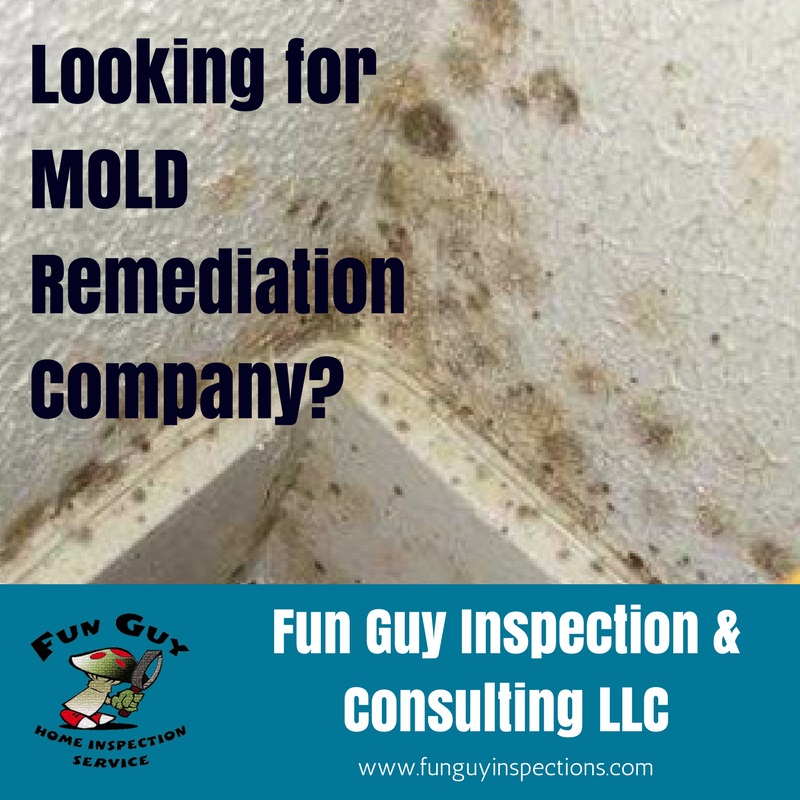 Mold Removal Los Angeles