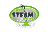 Carpet Steam Cleaner