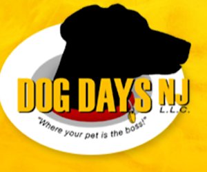 Dog Days NJ, LLC