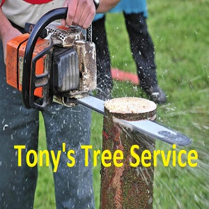Tony''s Tree Service