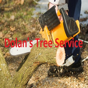 Dolan''s Tree Service