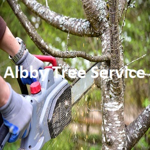 Albby Tree Service