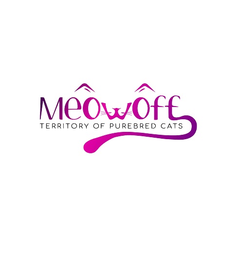 Meowoff - 🐱Kittens For Sale In Chicago Illinois