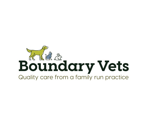 Boundary Vets