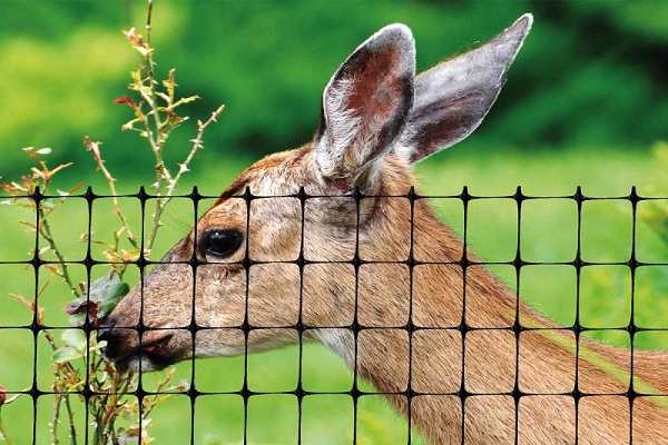 Deer Fence USA