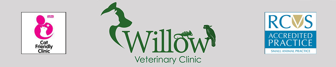 Willow Veterinary Clinic