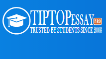 TIPTOP Essay